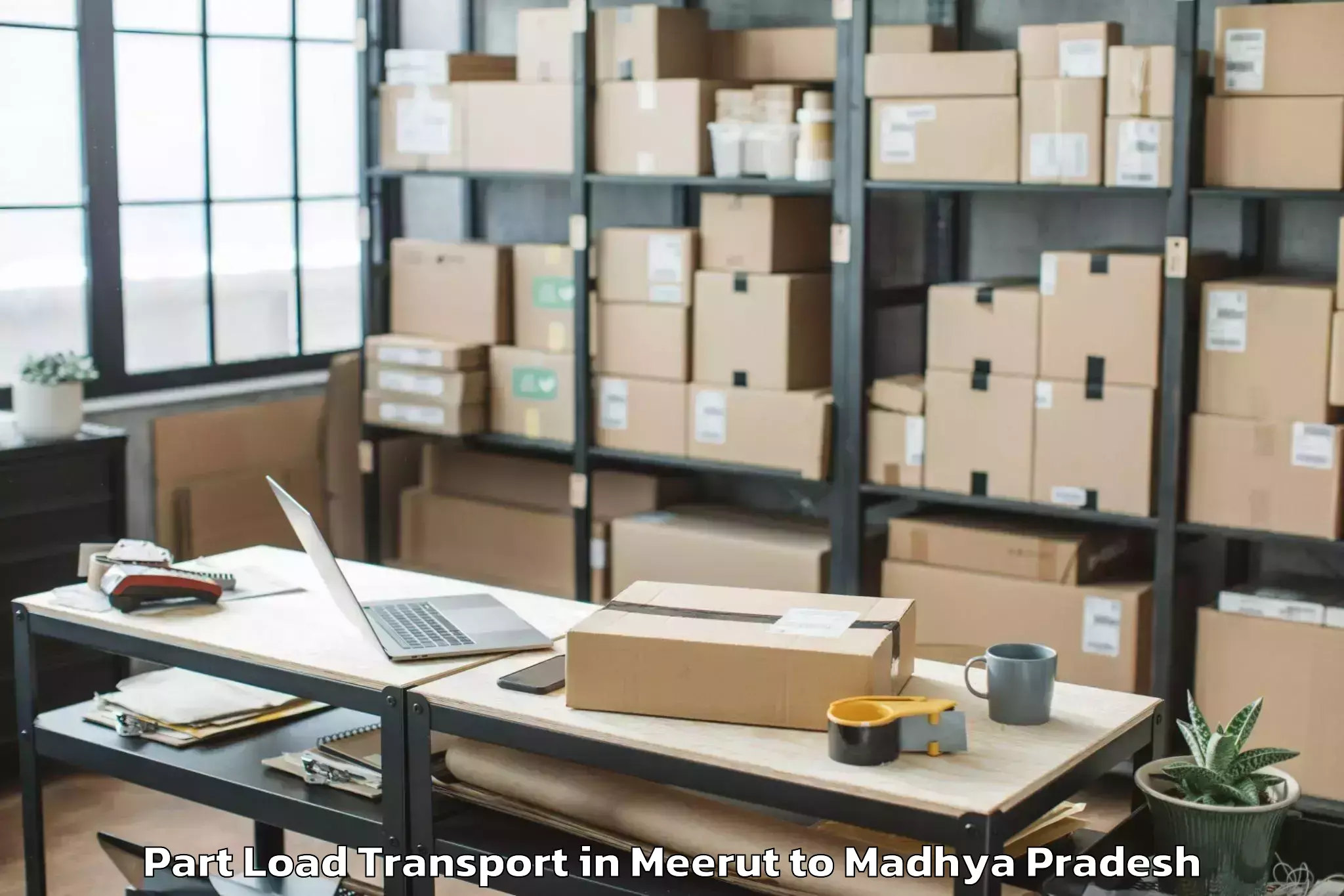 Book Meerut to Satna Part Load Transport Online